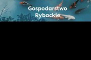 Gospodarstwo rybackie Mateusz Kozak