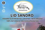 Lid Sandro - 200g. Pokarmy dla krewetek - BORzoo