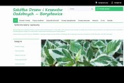 Szkółka Drzew i Krzewów Ozdobnych Marek Andrzejewski