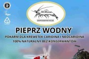 Pieprz Wodny - 10g pałeczki. Pokarmy dla krewetek - BORzoo