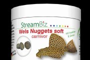 Wels Nuggets soft Carnivor | StreamBiz