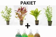 PAKIET Rośliny akwariowe 5xKOSZYK+ Nawozy DIM 4x500ml