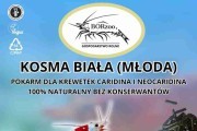 Kosma Biała - 200g pałeczki. Pokarmy dla krewetek - BORzoo