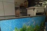 Akwarium 450l