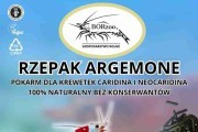 Rzepak Argemone liście - 200g pałeczki. Pokarmy dla krewetek - BORzoo