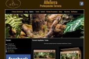 AlleTerra - Profesjonalne Terraria