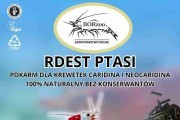 Rdest ptasi - 30g. Pokarmy dla krewetek - BORzoo