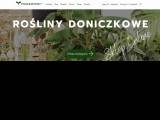 TOMASZEWSKI