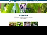 The Fish Farm