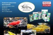 Wyprzedaż. Pokarm - 8 smaków dla krewetek po 8x10g plus kalendarz w laminacie. Pokarmy dla krewetek - BORzoo