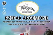 Rzepak Argemone liście - 10g pałeczki. Pokarmy dla krewetek - BORzoo