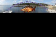 Gospodarstwo rybackie Brody