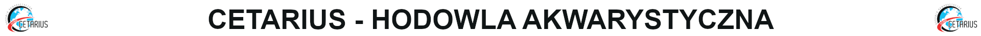 Top banner