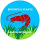 calashrimpsandplants
