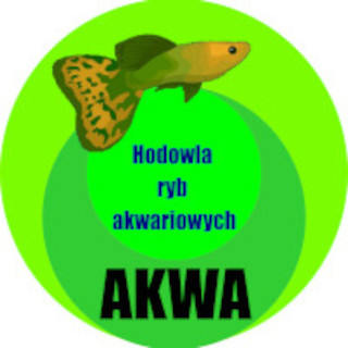 Akwa