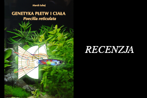 GENETYKA PŁETW I CIAŁA poecilia reticulata - Marek Łabaj - recenzja na kanale YT