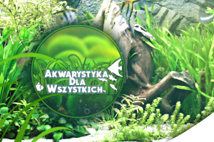 Akwarystyka dla wszystkich - największa w Polsce grupa akwarystyczna