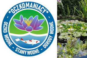 OCZKOMANIACY.PL - oczka wodne, stawy wodne, ogrody wodne.