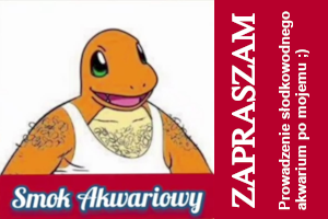 Smok Akwariowy - Prowadzenie akwarium słodkowodnego po mojemu ;)