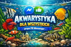 Akwarystyka dla wszystkich - grupa FB messenger