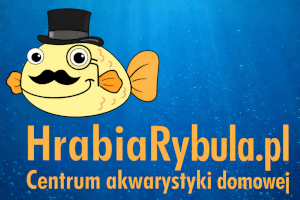 Hrabia Rybula - Centrum Akwarystyki Domowej