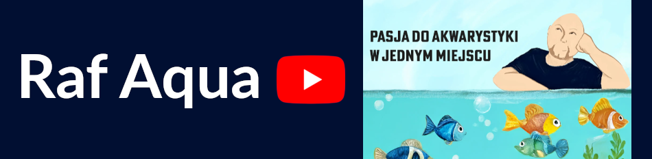 Raf Aqua - największy kanał akwarystyczny w Polsce.