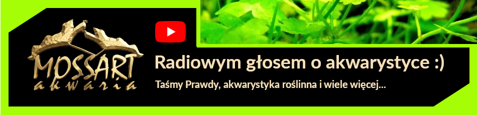 MOSSART akwaria