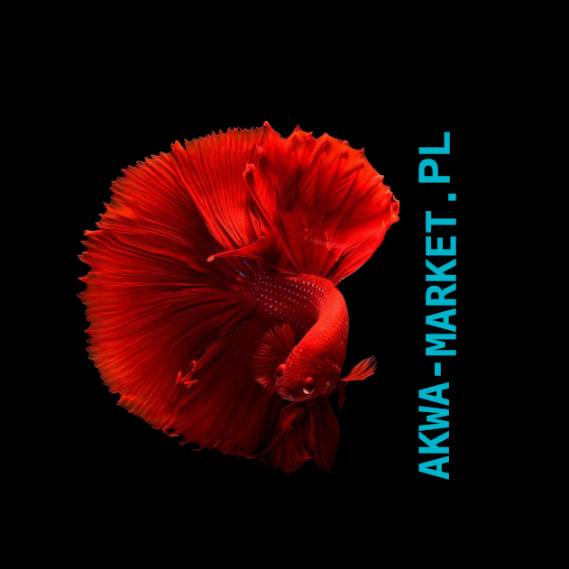 AKWA-MARKET logo v2