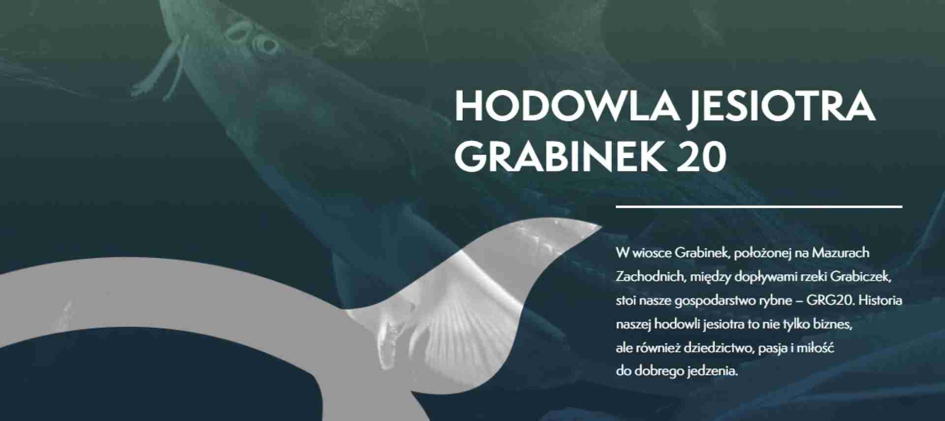 Hodowla Jesiotra Grabinek 20