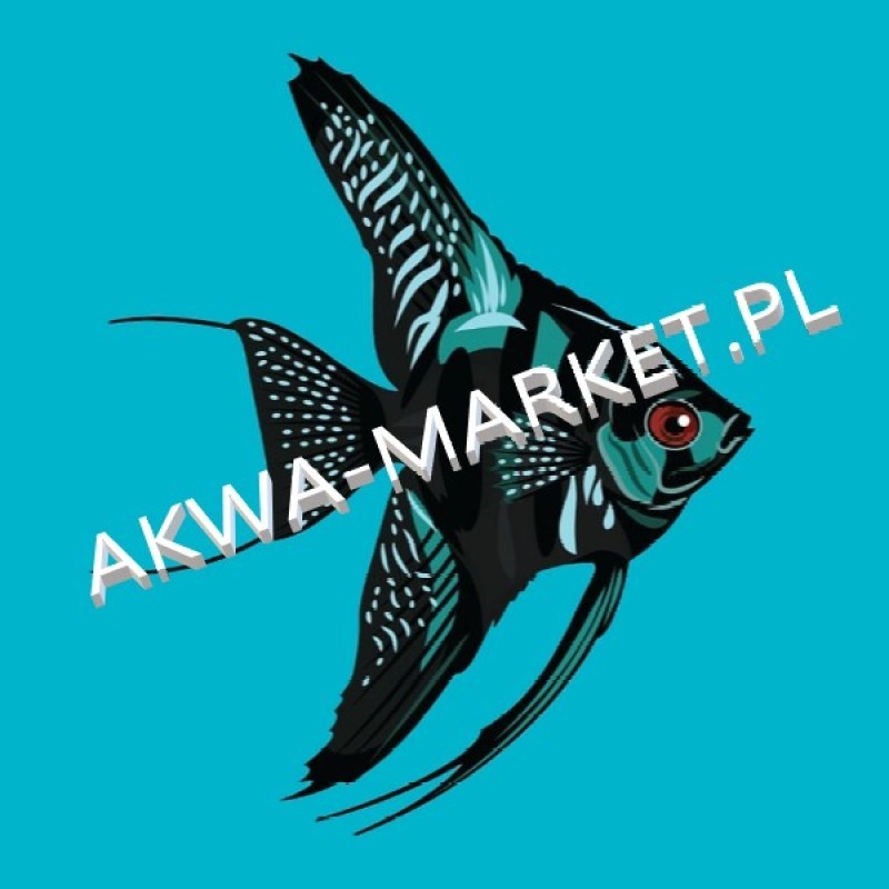 AKWA-MARKET.PL – miejsce stworzone przez pasjonatów dla pasjonatów