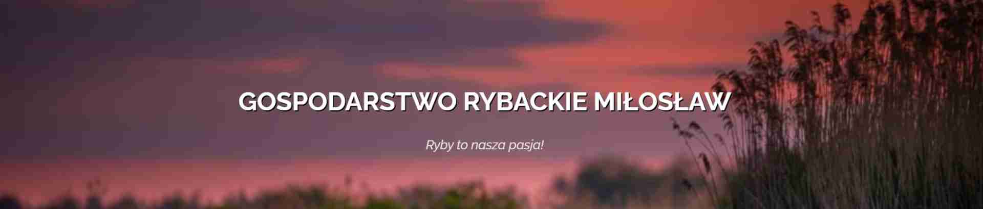 Gospodarstwo rybackie Miłosław