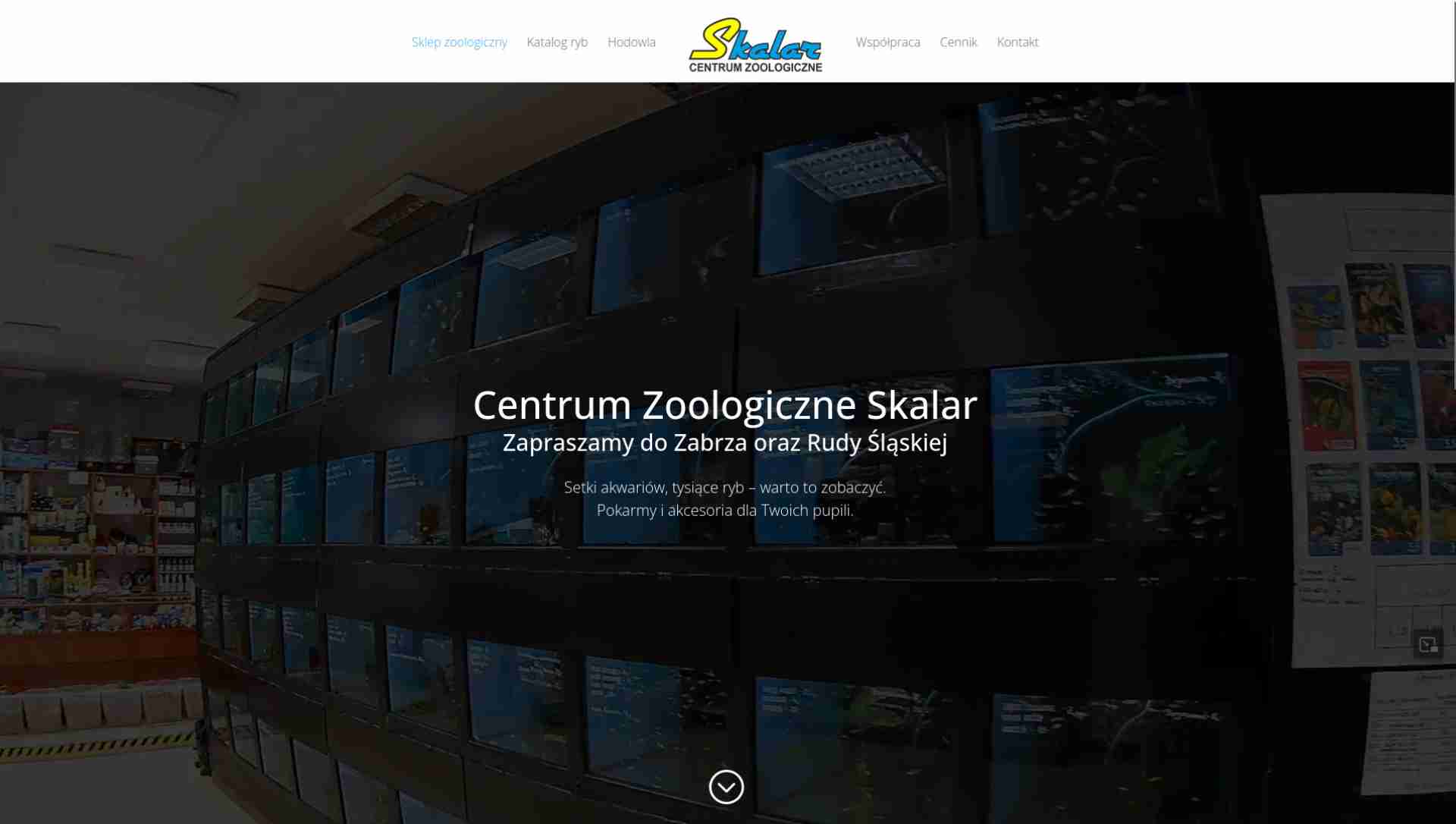 Skalar - Centrum Zoologiczne
