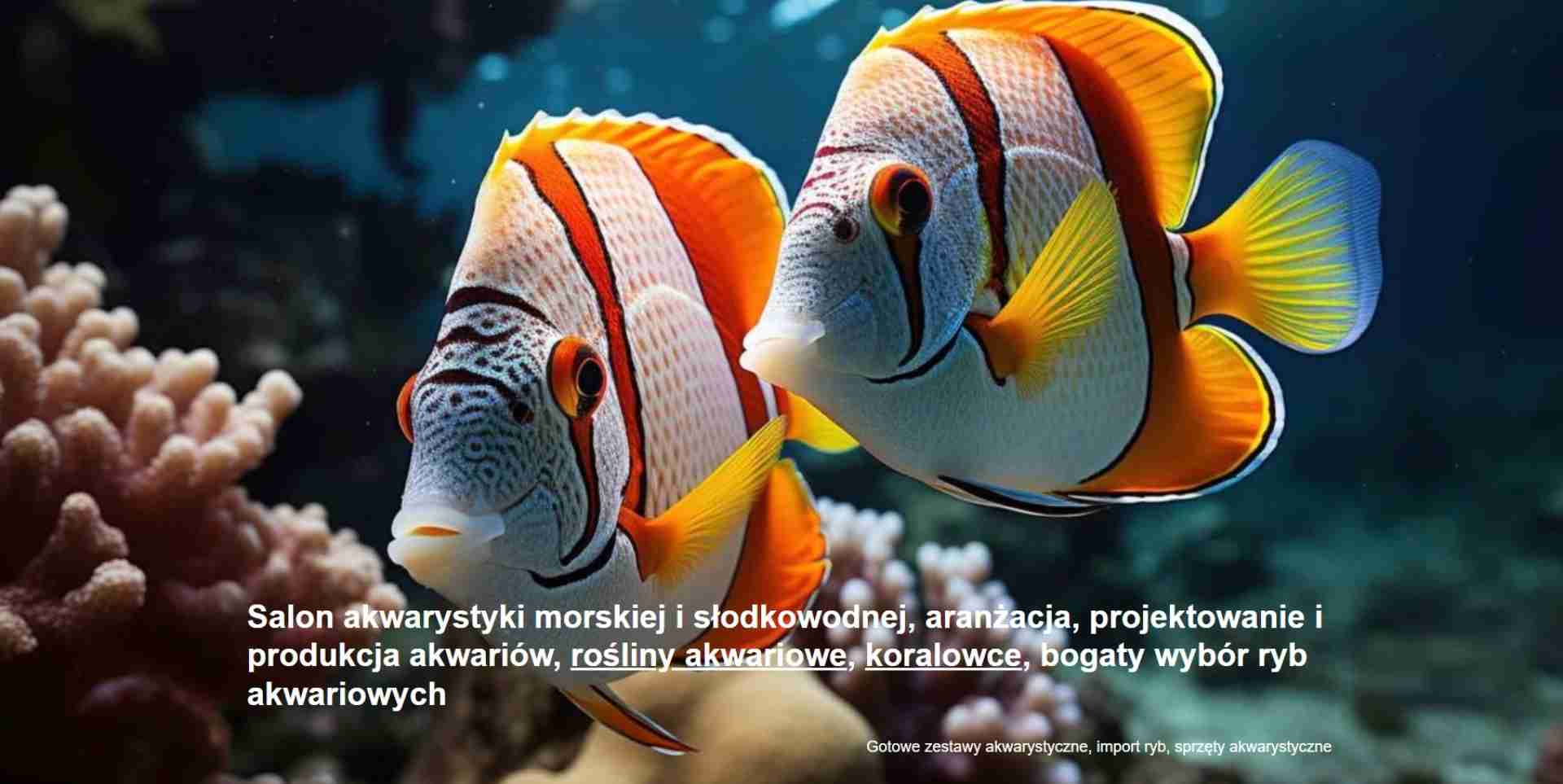 REEFPARK