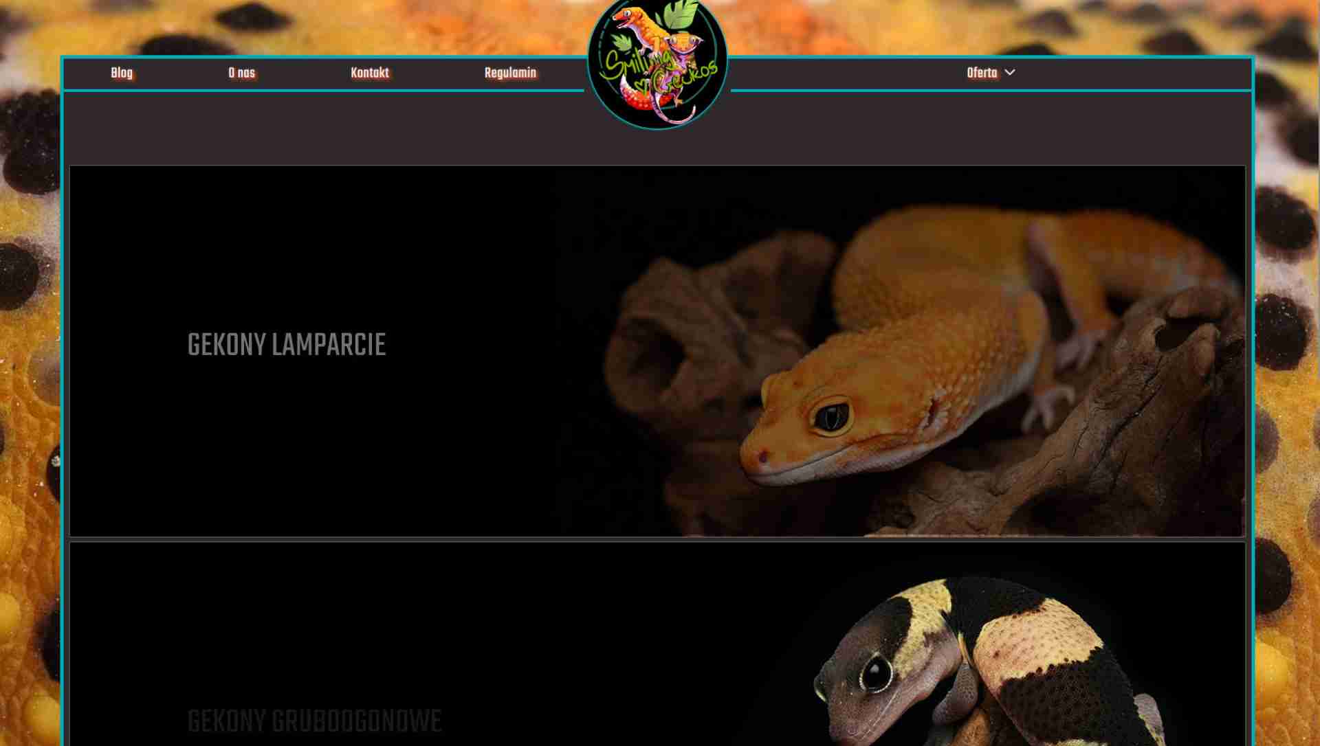 Smiling Geckos - Captive Bred Reptiles