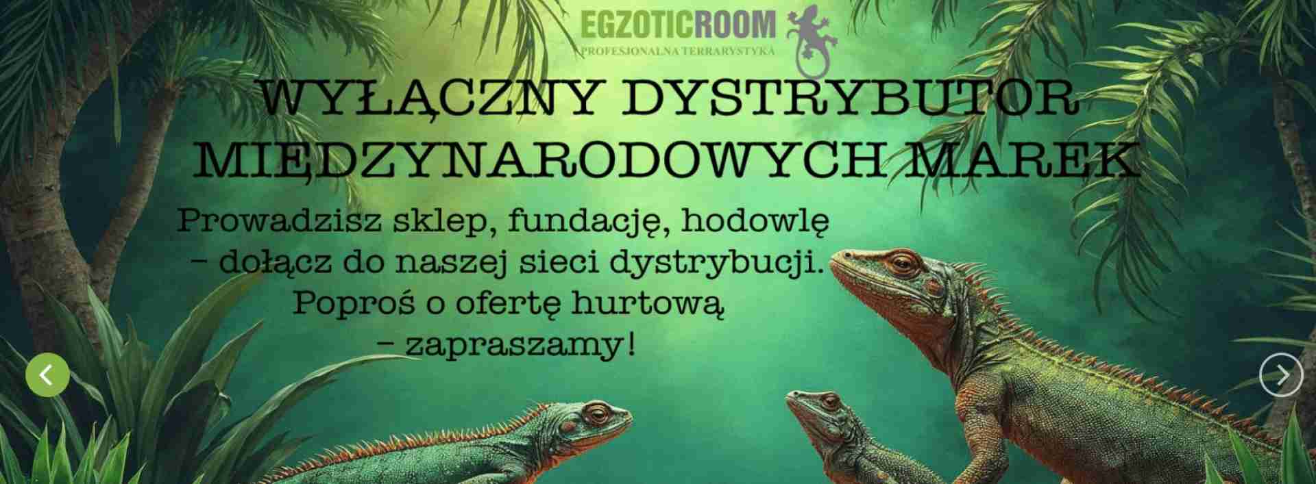 EGZOTIC ROOM