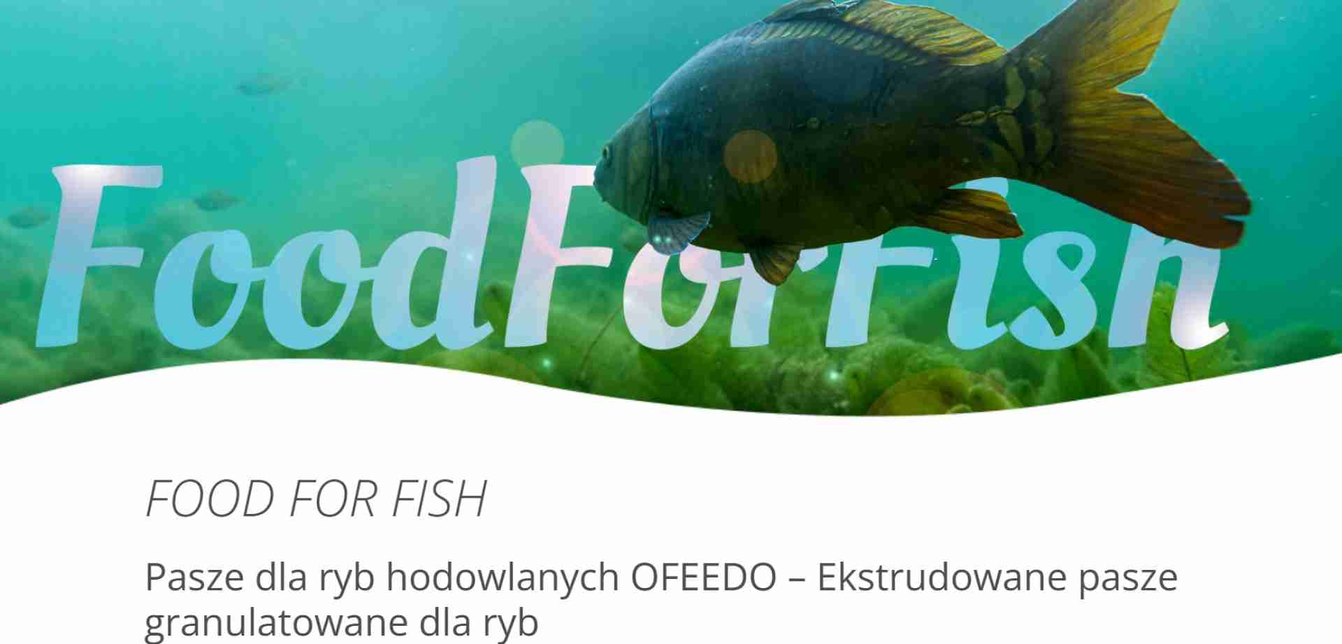 FoodForFish