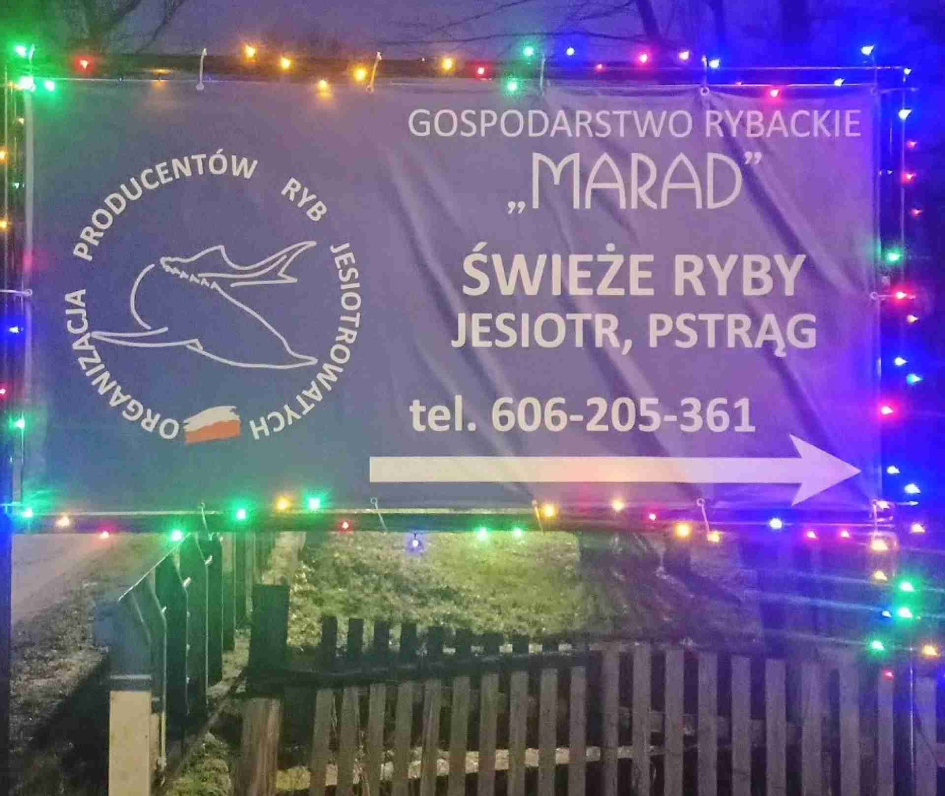 Gospodarstwo rybackie MARAD