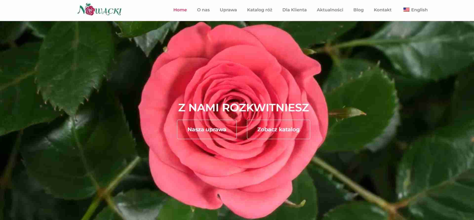 Gospodarstwo Rolno-Ogrodnicze Zbigniew Nowacki