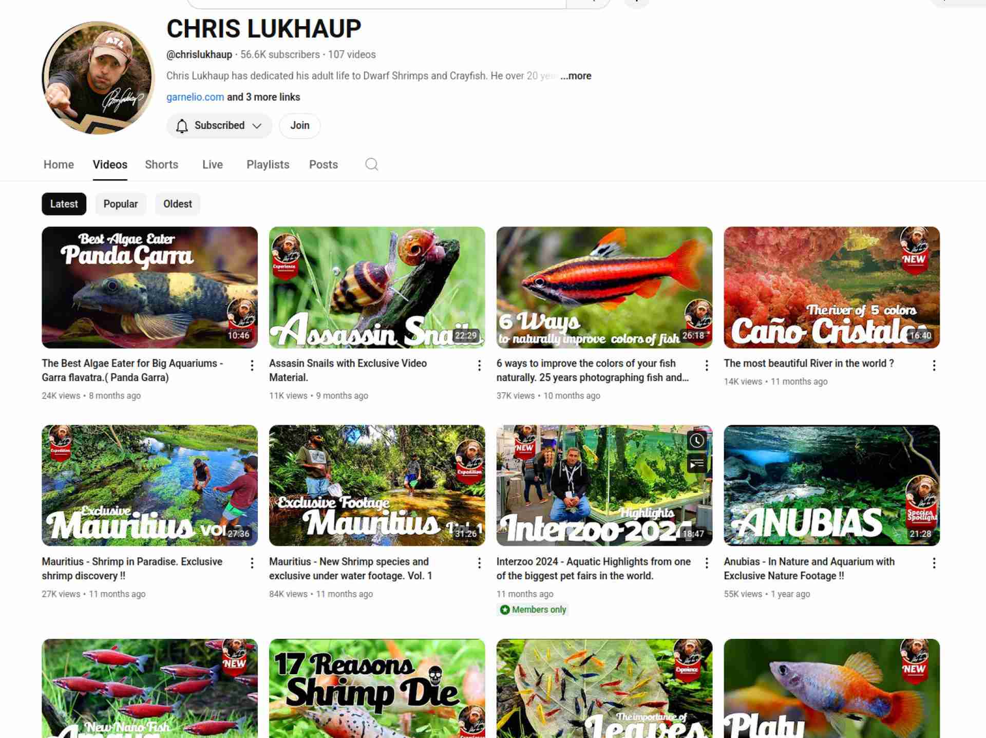 CHRIS LUKHAUP - The Shrimp King - YouTube channel