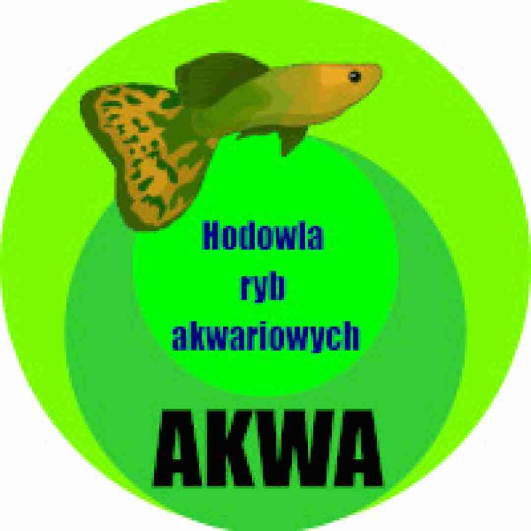AKWA - hodowla ryb akwariowych