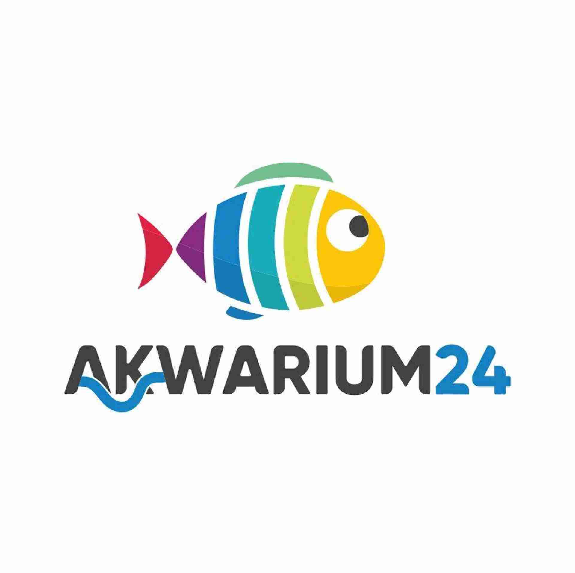 AKWARIUM24.PL - Akwarystyka i Oczko wodne