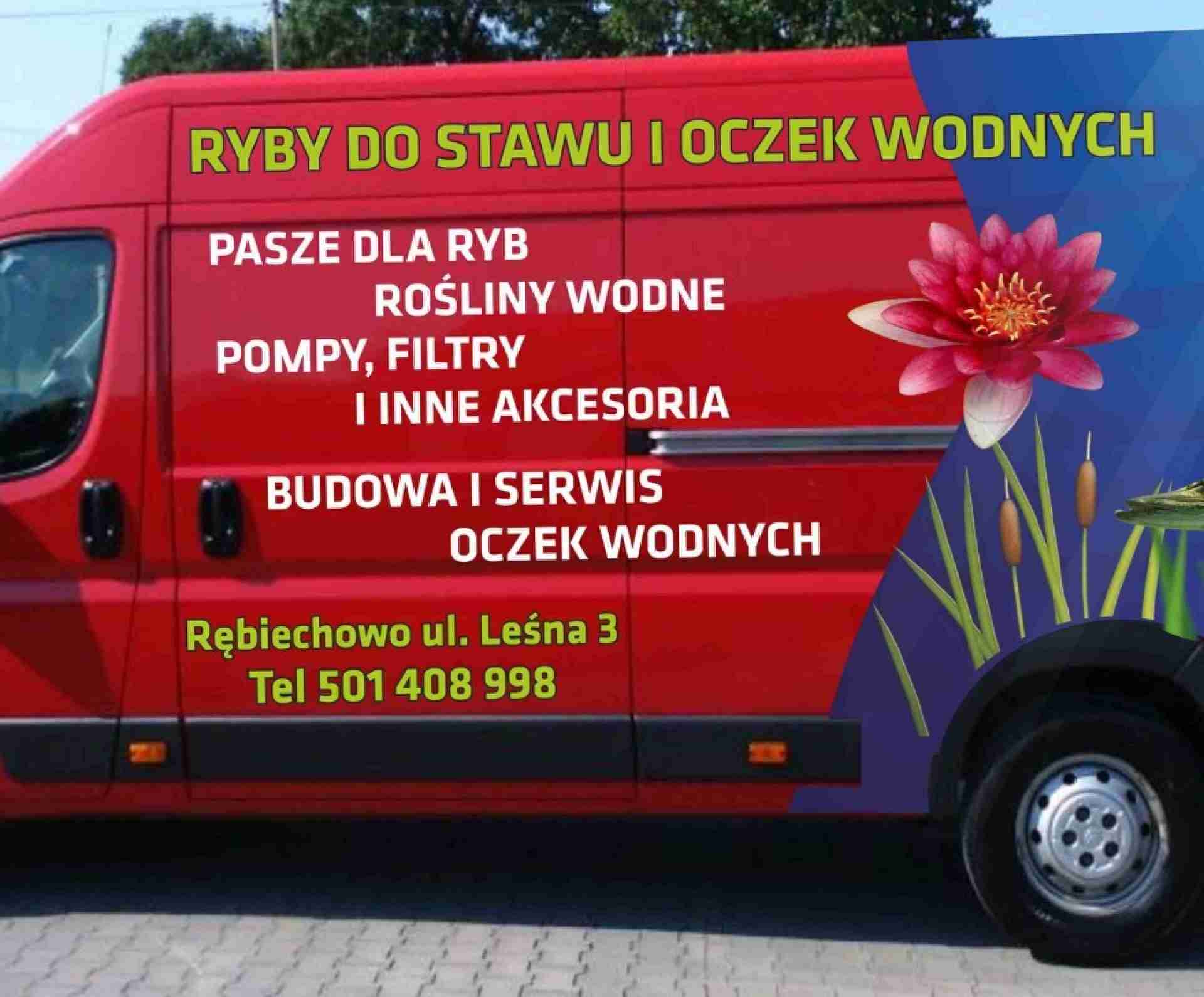 Ryby do stawu