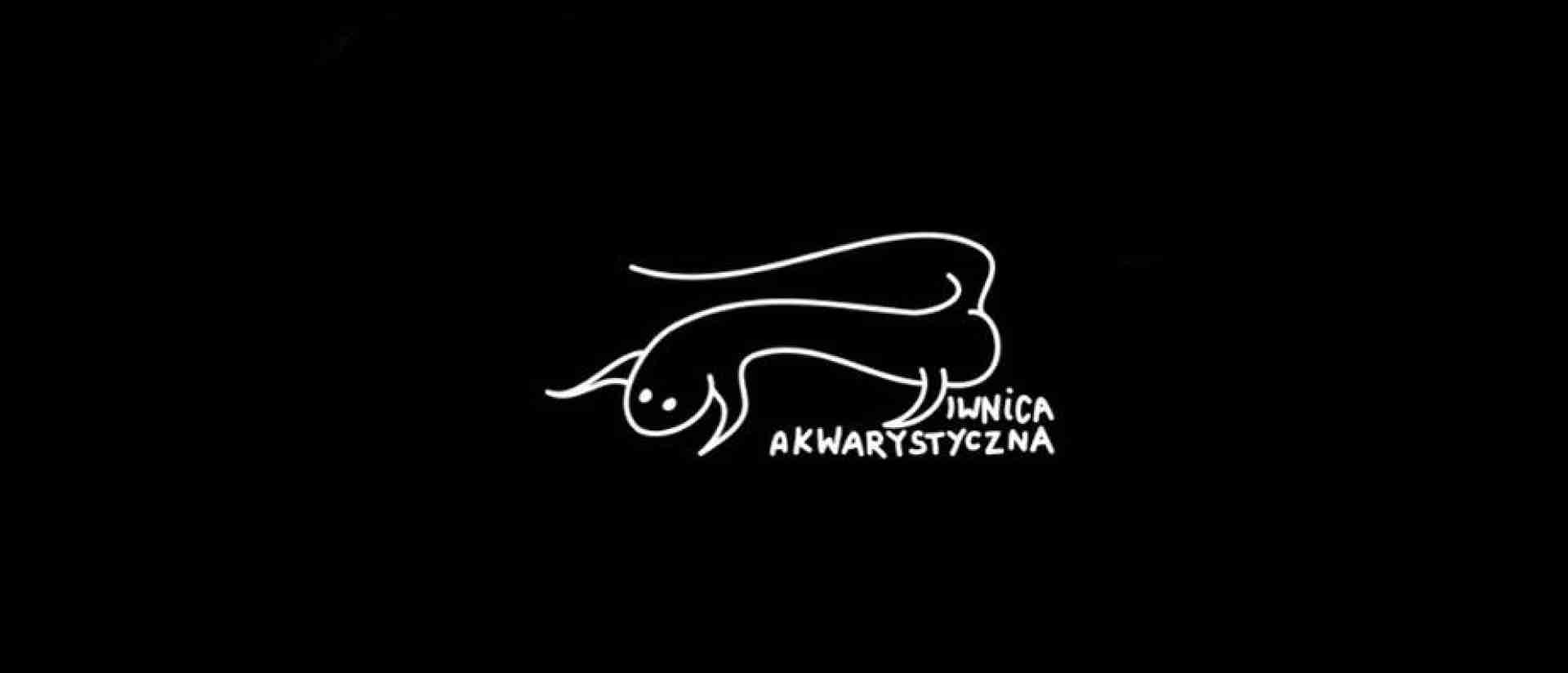 Piwnica akwarystyczna