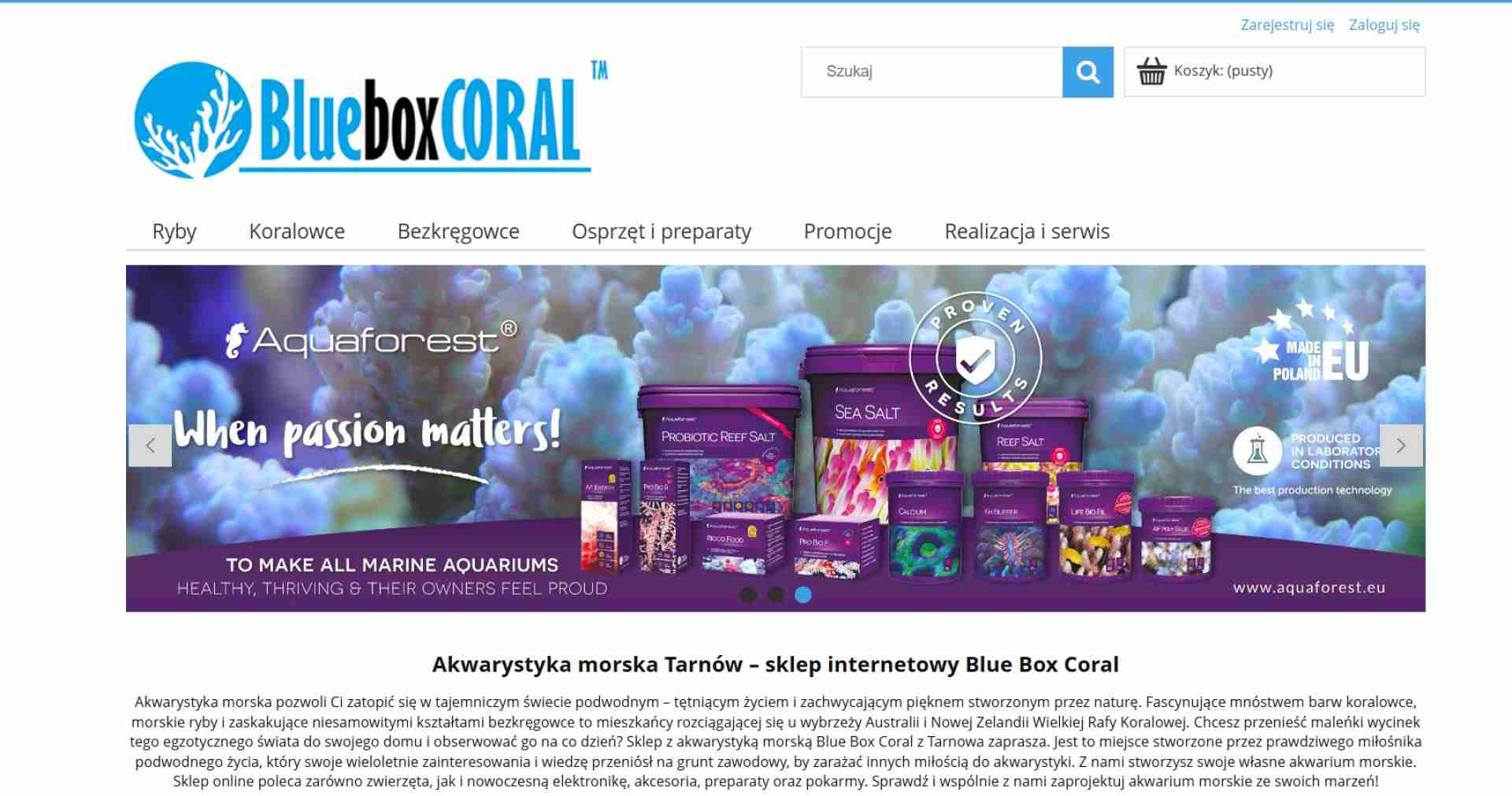 BLUE BOX CORAL