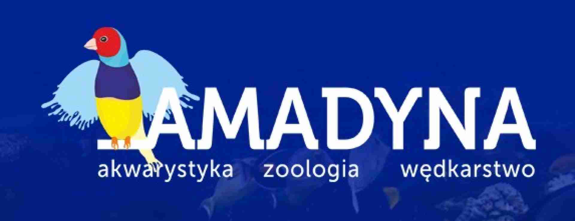 AMADYNA