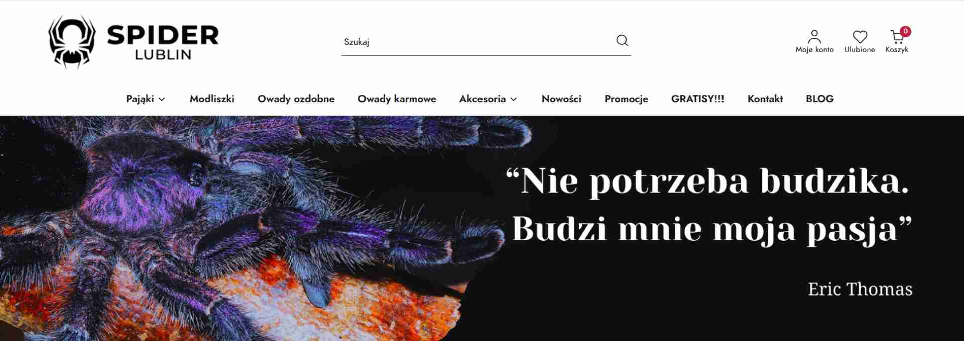 Spider Lublin