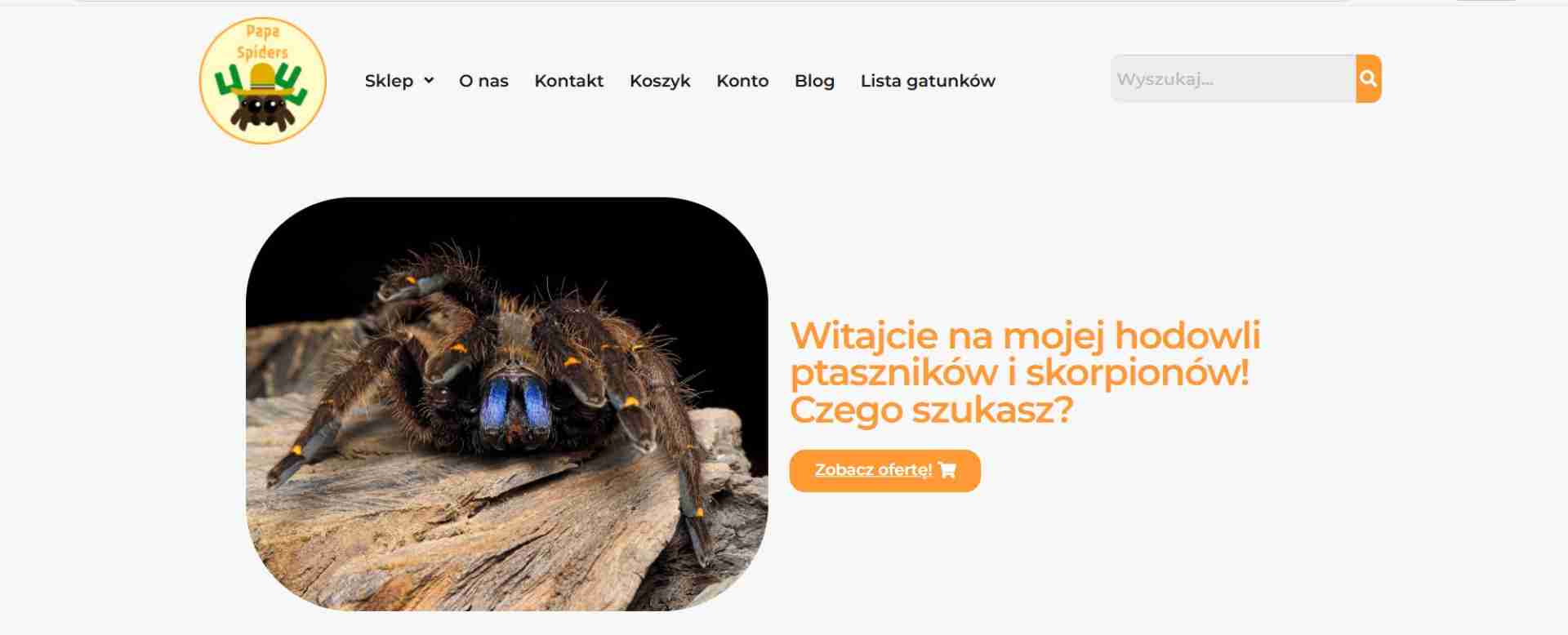 Papa Spiders