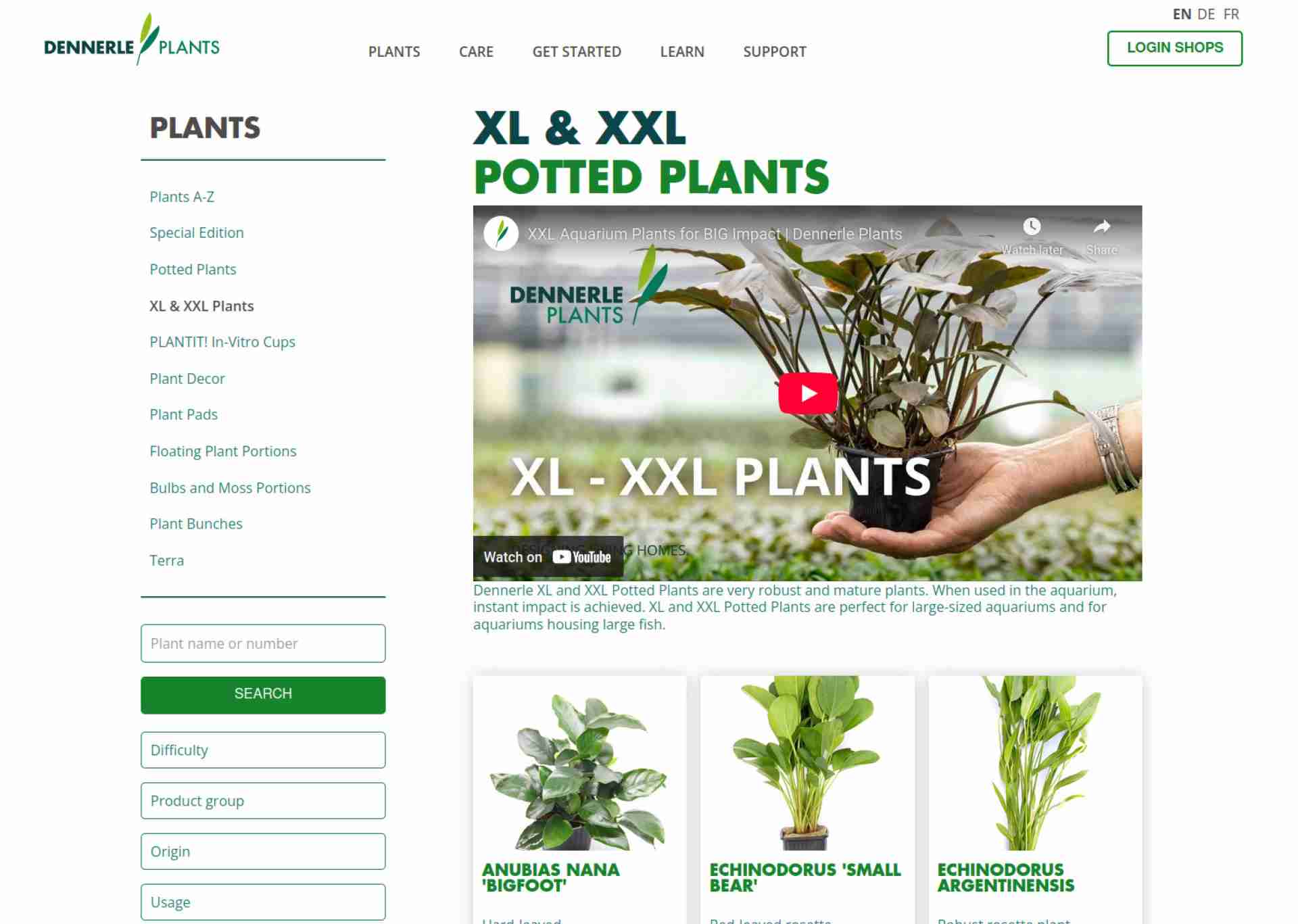 DENNERLE PLANTS