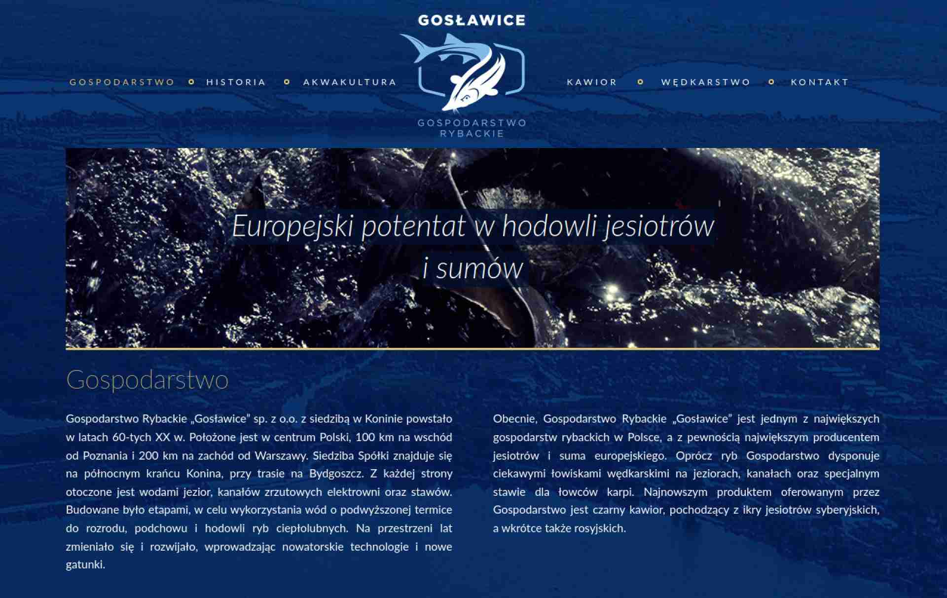 Gospodarstwo Rybackie - Gosławice