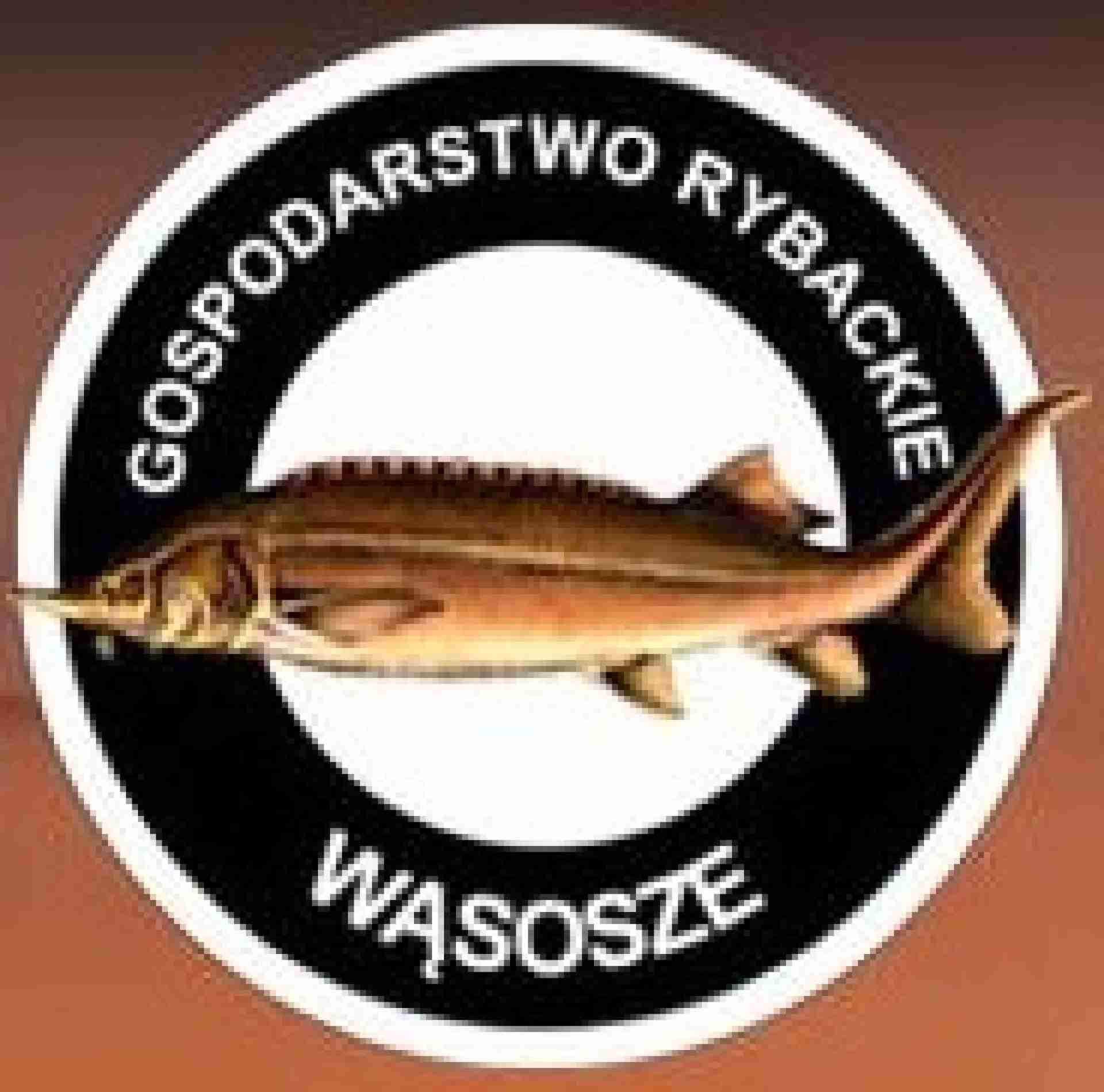 Gospodarstwo rybackie Wąsosze